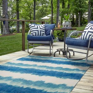 Apopka Outdoor Washable Rug Collection
