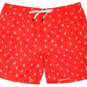 Eddi Bauer Mens Printed Volley Shorts