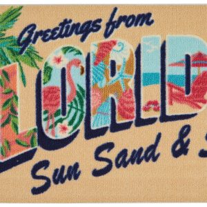 Nourison 20x32 Florida Accent Rug