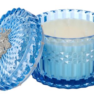 20 oz. Exotic Mandarin Jar Candle