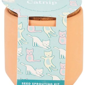 Modern Sprout Catnip Seed Sprouting Terracotta Grow Kit