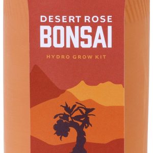 Modern Sprout Desert Rose Bonsai Terracotta Hydro Grow Kit